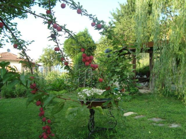 B&B Cherry En Rose Lezzeno Luaran gambar